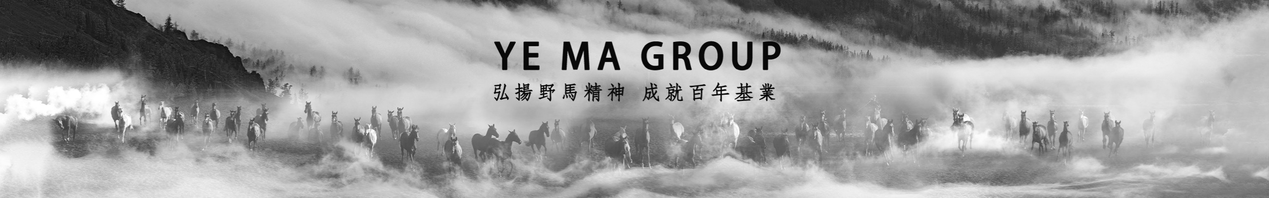 中国·BB贝博艾弗森(股份)有限公司-官方网站