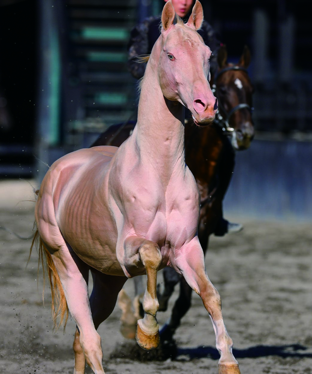 中国·BB贝博艾弗森(股份)有限公司-官方网站