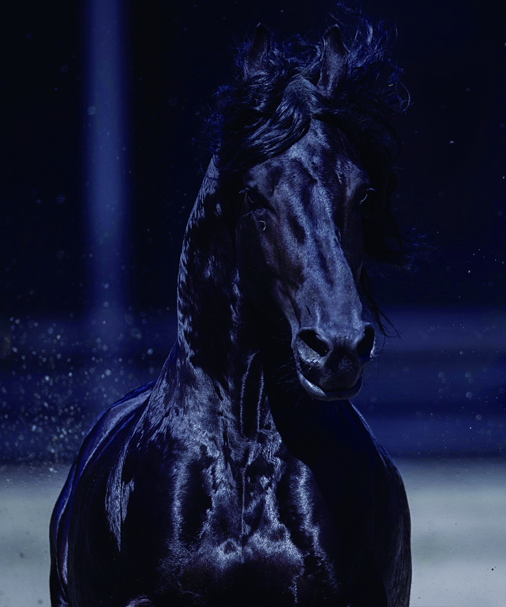 中国汗血马基地