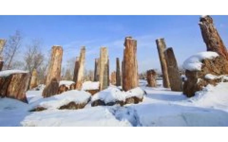 新疆古生态园景区全面执行冬季惠民价值