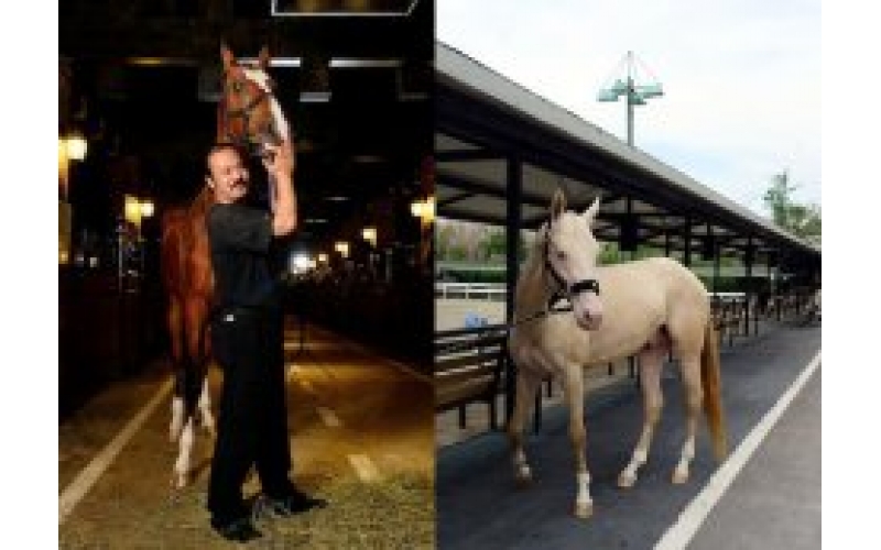 BB贝博艾弗森官网无缰-福布斯中文网专栏