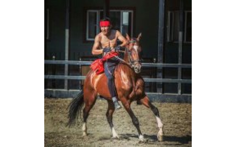 乌市新增一处城市中心游览主张地