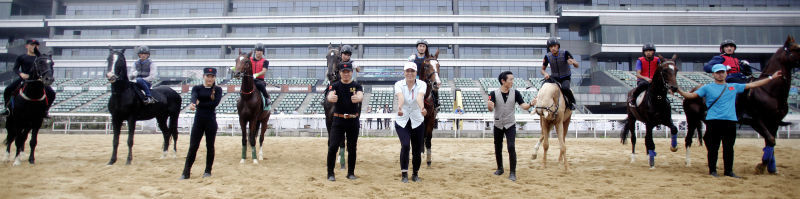 汗血宝马初次参与正式国际赛事 10月22日将亮相武汉国际跑马节